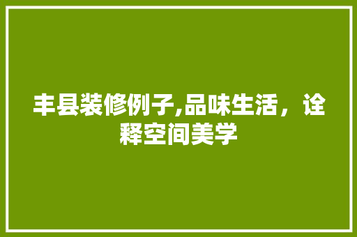 丰县装修例子,品味生活，诠释空间美学