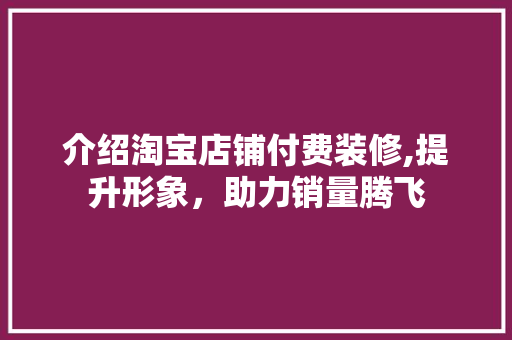 介绍淘宝店铺付费装修,提升形象，助力销量腾飞