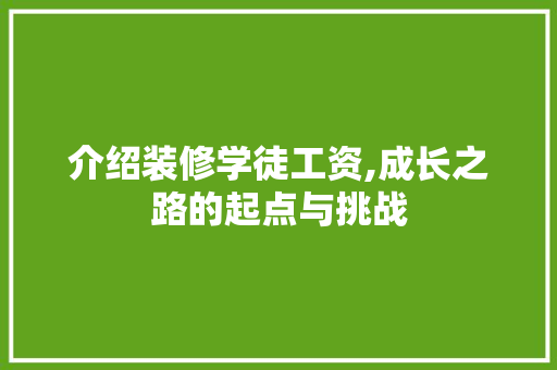 介绍装修学徒工资,成长之路的起点与挑战