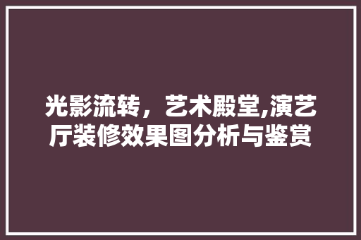 光影流转，艺术殿堂,演艺厅装修效果图分析与鉴赏