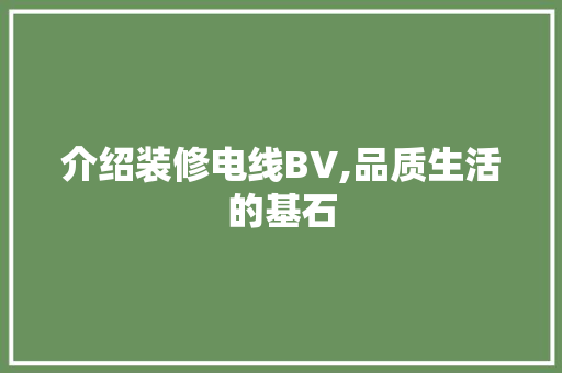介绍装修电线BV,品质生活的基石