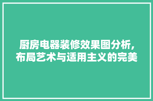 厨房电器装修效果图分析,布局艺术与适用主义的完美融合