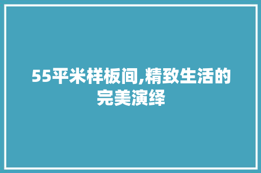 55平米样板间,精致生活的完美演绎