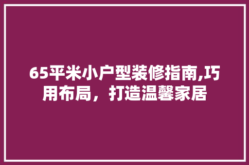 65平米小户型装修指南,巧用布局，打造温馨家居