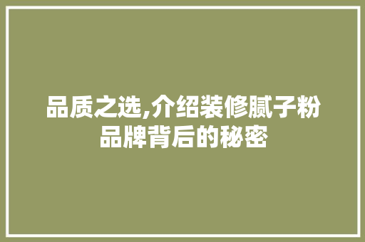品质之选,介绍装修腻子粉品牌背后的秘密