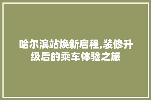 哈尔滨站焕新启程,装修升级后的乘车体验之旅