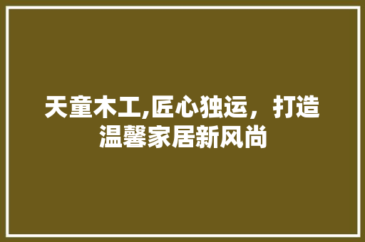 天童木工,匠心独运，打造温馨家居新风尚 防火门