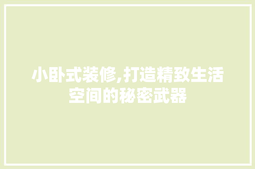 小卧式装修,打造精致生活空间的秘密武器