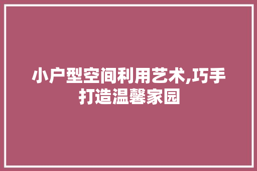 小户型空间利用艺术,巧手打造温馨家园