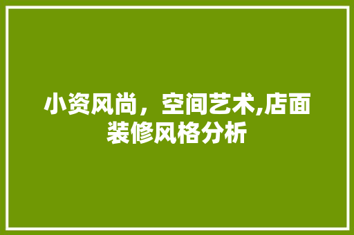 小资风尚，空间艺术,店面装修风格分析