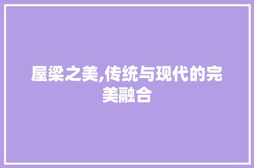 屋梁之美,传统与现代的完美融合