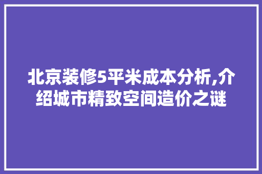 北京装修5平米成本分析,介绍城市精致空间造价之谜