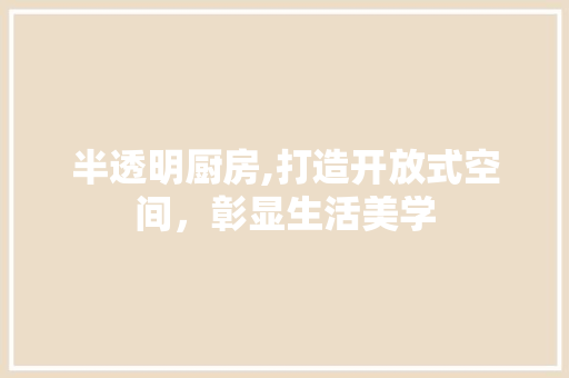 半透明厨房,打造开放式空间，彰显生活美学