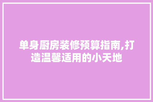 单身厨房装修预算指南,打造温馨适用的小天地