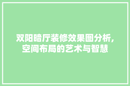 双阳暗厅装修效果图分析,空间布局的艺术与智慧