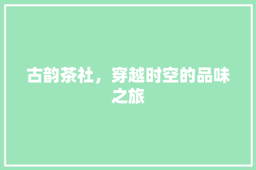古韵茶社，穿越时空的品味之旅
