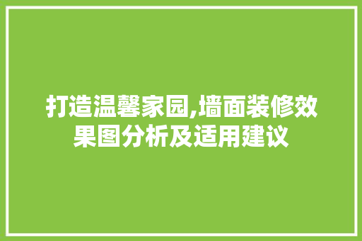 打造温馨家园,墙面装修效果图分析及适用建议