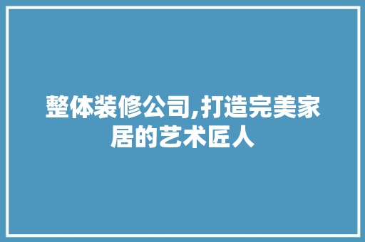 整体装修公司,打造完美家居的艺术匠人