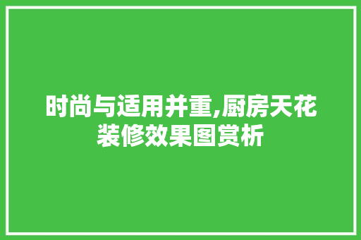 时尚与适用并重,厨房天花装修效果图赏析