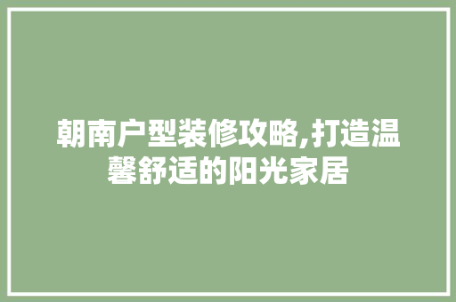 朝南户型装修攻略,打造温馨舒适的阳光家居