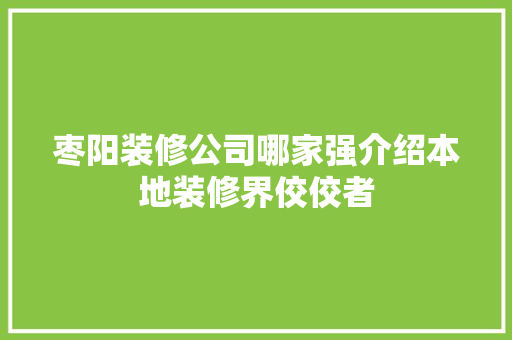 枣阳装修公司哪家强介绍本地装修界佼佼者