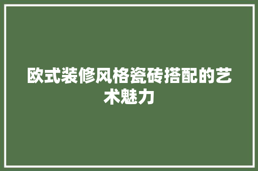 欧式装修风格瓷砖搭配的艺术魅力