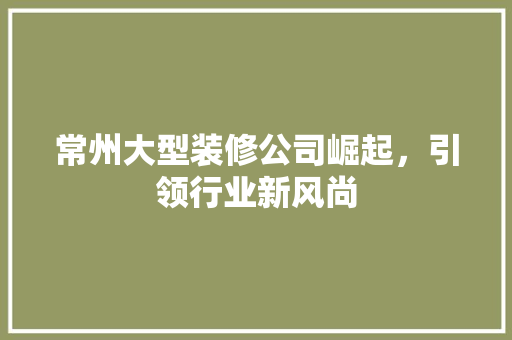 常州大型装修公司崛起，引领行业新风尚