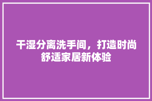 干湿分离洗手间，打造时尚舒适家居新体验
