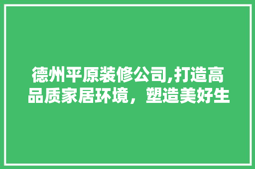 德州平原装修公司,打造高品质家居环境，塑造美好生活空间
