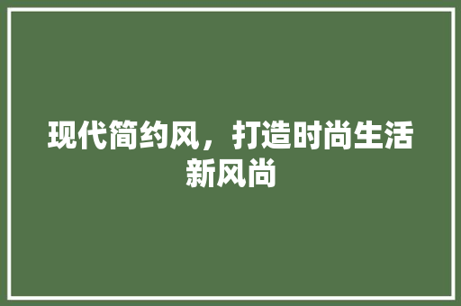 现代简约风，打造时尚生活新风尚