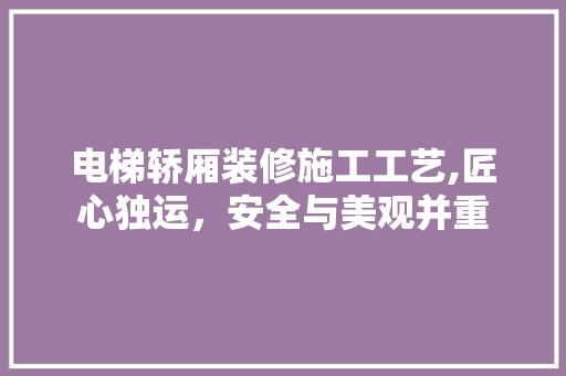 电梯轿厢装修施工工艺,匠心独运，安全与美观并重