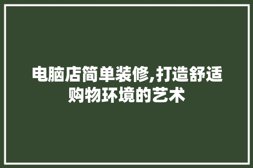 电脑店简单装修,打造舒适购物环境的艺术