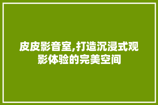 皮皮影音室,打造沉浸式观影体验的完美空间