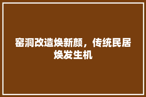 窑洞改造焕新颜，传统民居焕发生机