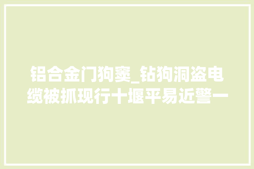 铝合金门狗窦_钻狗洞盗电缆被抓现行十堰平易近警一查还有前科