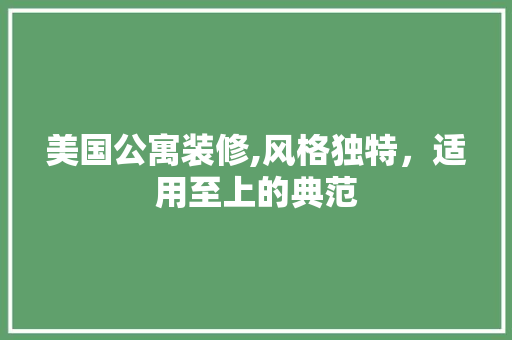 美国公寓装修,风格独特，适用至上的典范