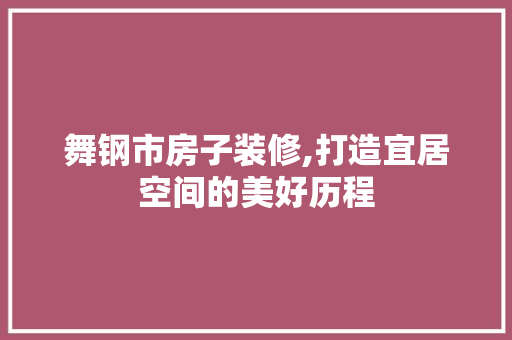 舞钢市房子装修,打造宜居空间的美好历程 实木门