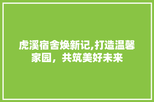 虎溪宿舍焕新记,打造温馨家园，共筑美好未来