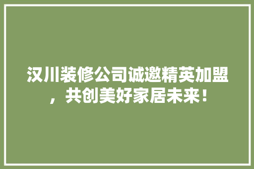 汉川装修公司诚邀精英加盟，共创美好家居未来！