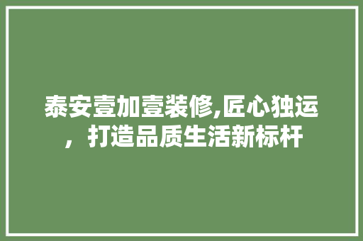 泰安壹加壹装修,匠心独运，打造品质生活新标杆 实木门