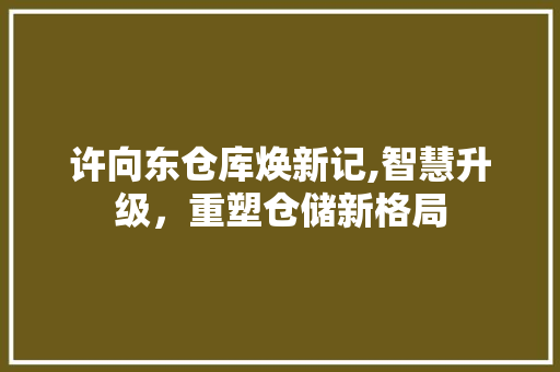 许向东仓库焕新记,智慧升级，重塑仓储新格局