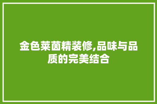 金色莱茵精装修,品味与品质的完美结合
