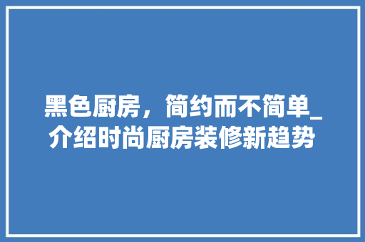 黑色厨房，简约而不简单_介绍时尚厨房装修新趋势