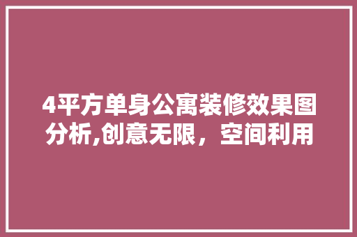 4平方单身公寓装修效果图分析,创意无限，空间利用最大化