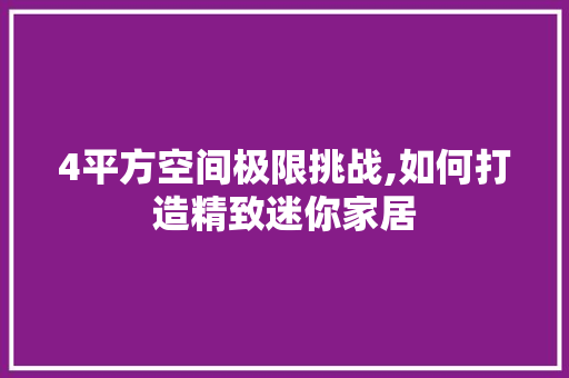 4平方空间极限挑战,如何打造精致迷你家居