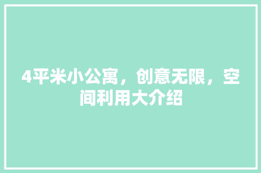 4平米小公寓，创意无限，空间利用大介绍