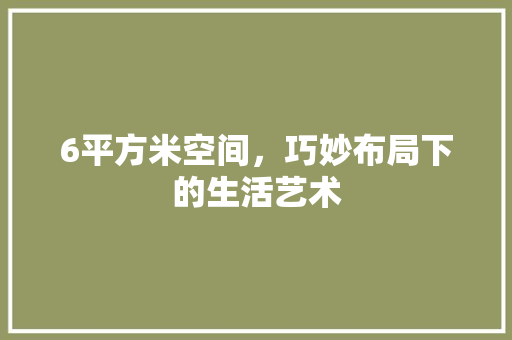 6平方米空间，巧妙布局下的生活艺术