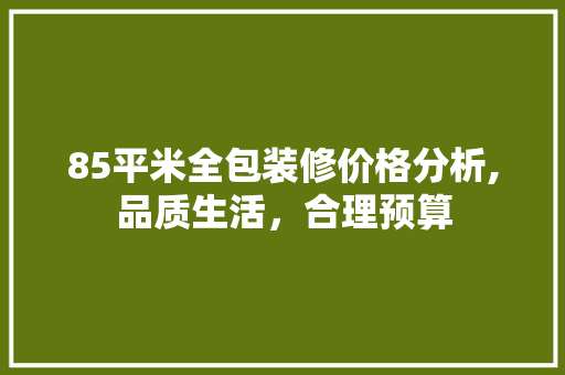 85平米全包装修价格分析,品质生活，合理预算