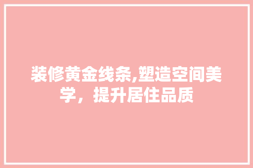 装修黄金线条,塑造空间美学，提升居住品质