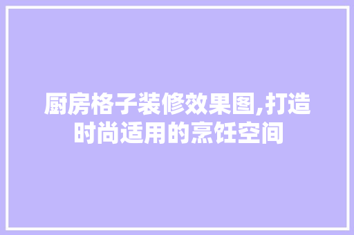 厨房格子装修效果图,打造时尚适用的烹饪空间